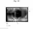 Fig. 08 - Curved display device