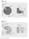Fig. 08 - Image processing for facilitating identification of colors using patterned regions