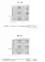 Fig. 16 - Method for allocating resources for downlink control channel in wireless communication system and device for same