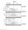Fig. 11 - Method for performing handover in a C-RAN system, and apparatus therefor