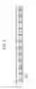 Fig. 04 - Packet relay device and packet relay method