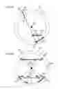 Fig. 08 - Radiation image pick-up device and image processing method