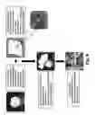 Fig. 08 - TECHNOLOGIES FOR PANCREATIC ISLET TRANSPLANTATION