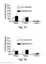 Fig. 16 - TECHNOLOGIES FOR PANCREATIC ISLET TRANSPLANTATION