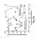 Fig. 21 - TECHNOLOGIES FOR PANCREATIC ISLET TRANSPLANTATION
