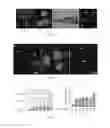 Fig. 11 - Diagnostic and Therapeutic Method