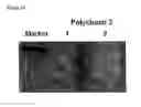 Fig. 20 - Therapeutic agent
