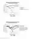 Fig. 22 - HA binding agents