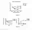 Fig. 03 - Method for treating inflammation with an -TMP-2 protein