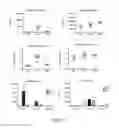 Fig. 07 - Method for treating inflammation with an -TMP-2 protein