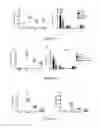 Fig. 11 - Method for treating inflammation with an -TMP-2 protein