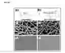 Fig. 11 - DOPING AGENTS AND POLYMERIC COMPOSITIONS THEREOF FOR CONTROLLED DRUG DELIVERY