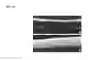 Fig. 17 - DOPING AGENTS AND POLYMERIC COMPOSITIONS THEREOF FOR CONTROLLED DRUG DELIVERY