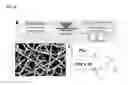 Fig. 33 - DOPING AGENTS AND POLYMERIC COMPOSITIONS THEREOF FOR CONTROLLED DRUG DELIVERY