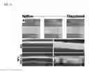 Fig. 34 - DOPING AGENTS AND POLYMERIC COMPOSITIONS THEREOF FOR CONTROLLED DRUG DELIVERY