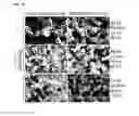 Fig. 40 - DOPING AGENTS AND POLYMERIC COMPOSITIONS THEREOF FOR CONTROLLED DRUG DELIVERY