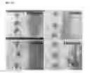Fig. 42 - DOPING AGENTS AND POLYMERIC COMPOSITIONS THEREOF FOR CONTROLLED DRUG DELIVERY