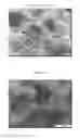 Fig. 02 - Method for making porous mullite-containing composites