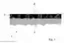Fig. 02 - Glass or glass ceramic substrate provided with a decorative coating and method for producing same