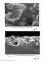 Fig. 09 - Glass or glass ceramic substrate provided with a decorative coating and method for producing same