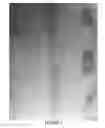 Fig. 06 - COMPOSITE MATERIAL, MANUFACTURING PROCESS THEREFOR AND USES THEREOF