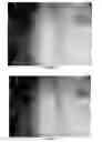 Fig. 07 - COMPOSITE MATERIAL, MANUFACTURING PROCESS THEREFOR AND USES THEREOF