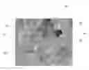 Fig. 01 - TAMPER EVIDENT DOCUMENTS AND INKS