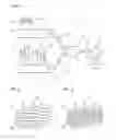 Fig. 02 - PROCESS FOR PREPARING A FILLED POLYMER EXTRUDATE