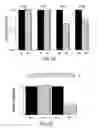 Fig. 49 - Primers and methods for the detection and discrimination of nucleic acids