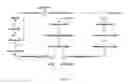 Fig. 06 - Methods and systems for chemoautotrophic production of organic compounds