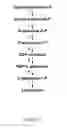 Fig. 14 - Methods and systems for chemoautotrophic production of organic compounds