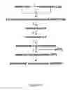 Fig. 17 - Methods and systems for chemoautotrophic production of organic compounds