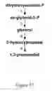 Fig. 18 - Methods and systems for chemoautotrophic production of organic compounds