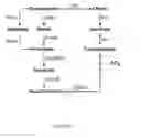 Fig. 27 - Methods and systems for chemoautotrophic production of organic compounds