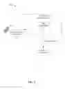 Fig. 06 - Automatic response to localized input