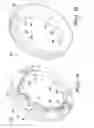Fig. 11 - Protective device for universal joint transmissions