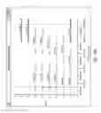 Fig. 43 - METHODS AND COMPOSITIONS FOR MULTIPLEX PCR