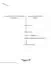 Fig. 32 - Method of Preparing a Nucleic Acid Library