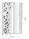 Fig. 12 - Methods and compositions for multiplex PCR