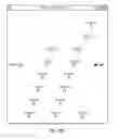 Fig. 40 - Methods and compositions for multiplex PCR