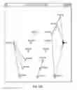 Fig. 46 - Methods and compositions for multiplex PCR