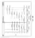 Fig. 48 - Methods and compositions for multiplex PCR