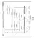 Fig. 52 - Methods and compositions for multiplex PCR