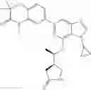 Fig. 596 - Substituted pyrrolidines as SYK inhibitors