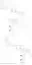 Fig. 652 - Substituted pyrrolidines as SYK inhibitors