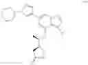 Fig. 982 - Substituted pyrrolidines as SYK inhibitors