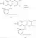 Fig. 321 - Substituted chroman compounds as calcium sensing receptor modulators