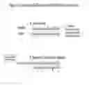 Fig. 03 - Extended dicer substrate agents and methods for the specific inhibition of gene expression