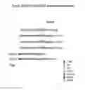 Fig. 08 - Extended dicer substrate agents and methods for the specific inhibition of gene expression