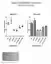Fig. 30 - Extended dicer substrate agents and methods for the specific inhibition of gene expression